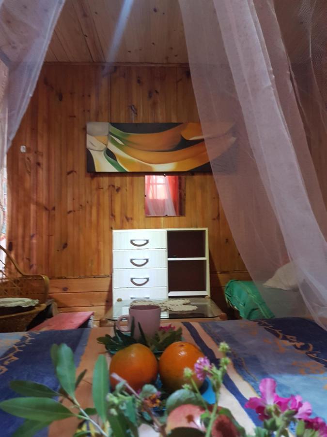 Cabana La Rustika Punta Del Diablo Extérieur photo